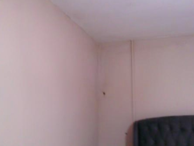 Standard visible light view of wall